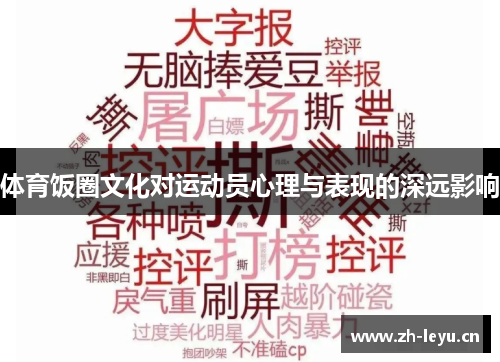 体育饭圈文化对运动员心理与表现的深远影响