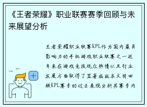 《王者荣耀》职业联赛赛季回顾与未来展望分析