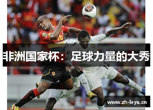 非洲国家杯：足球力量的大秀