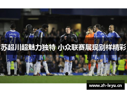 苏超川超魅力独特 小众联赛展现别样精彩